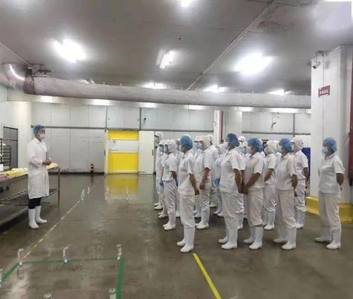 劳动竞赛进行时，技能比武展风采，提质增效创佳绩——中百生鲜公司中式面点加工厂职业技能大赛小记