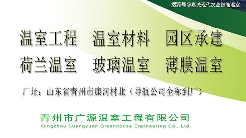 广西等西南地区推广a字架草莓栽培的优点以及技术分享